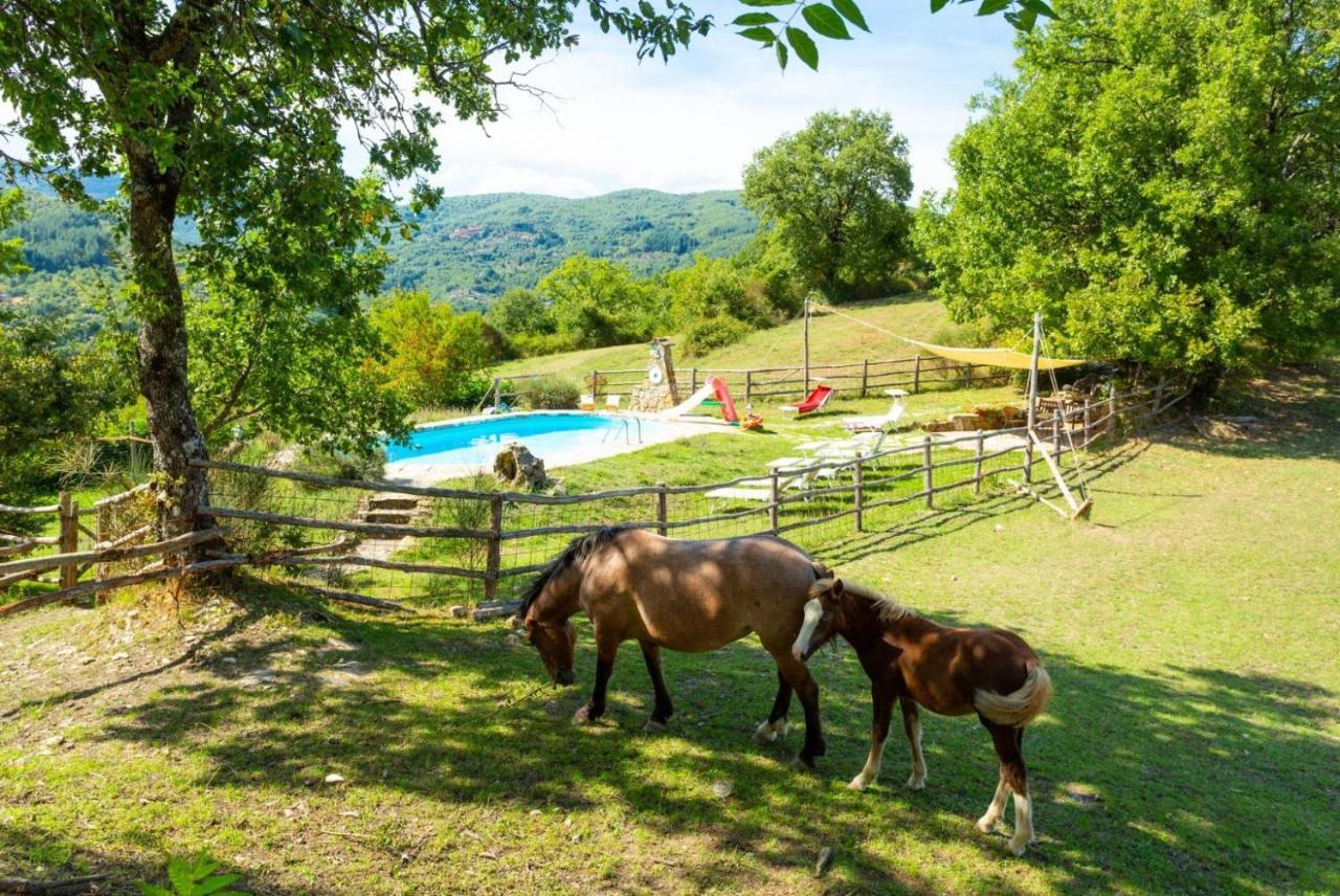 Villa Bellavista Ареццо Екстер'єр фото