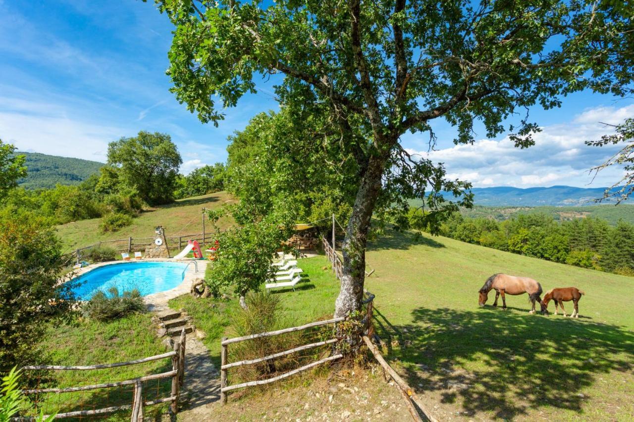 Villa Bellavista Ареццо Екстер'єр фото